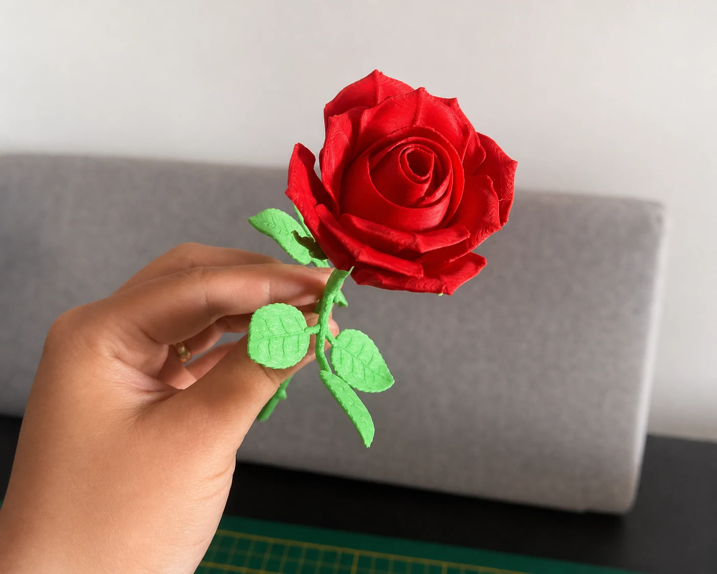 Rosa decorativa para jardín