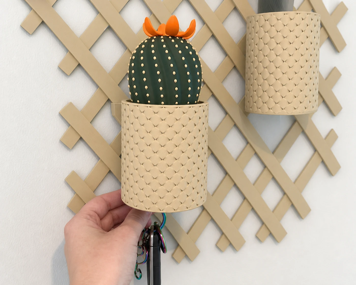 Cactus guardallaves con flor magnética