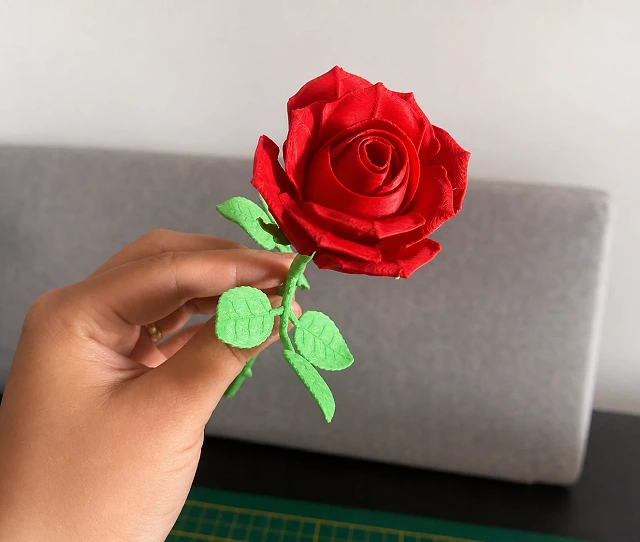 Rosa decorativa para jardín