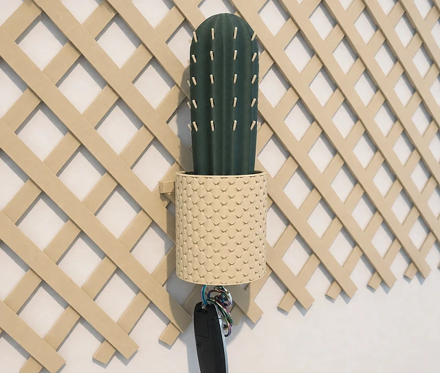 Cactus magnético guardallaves