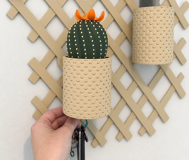 Cactus guardallaves con flor magnética